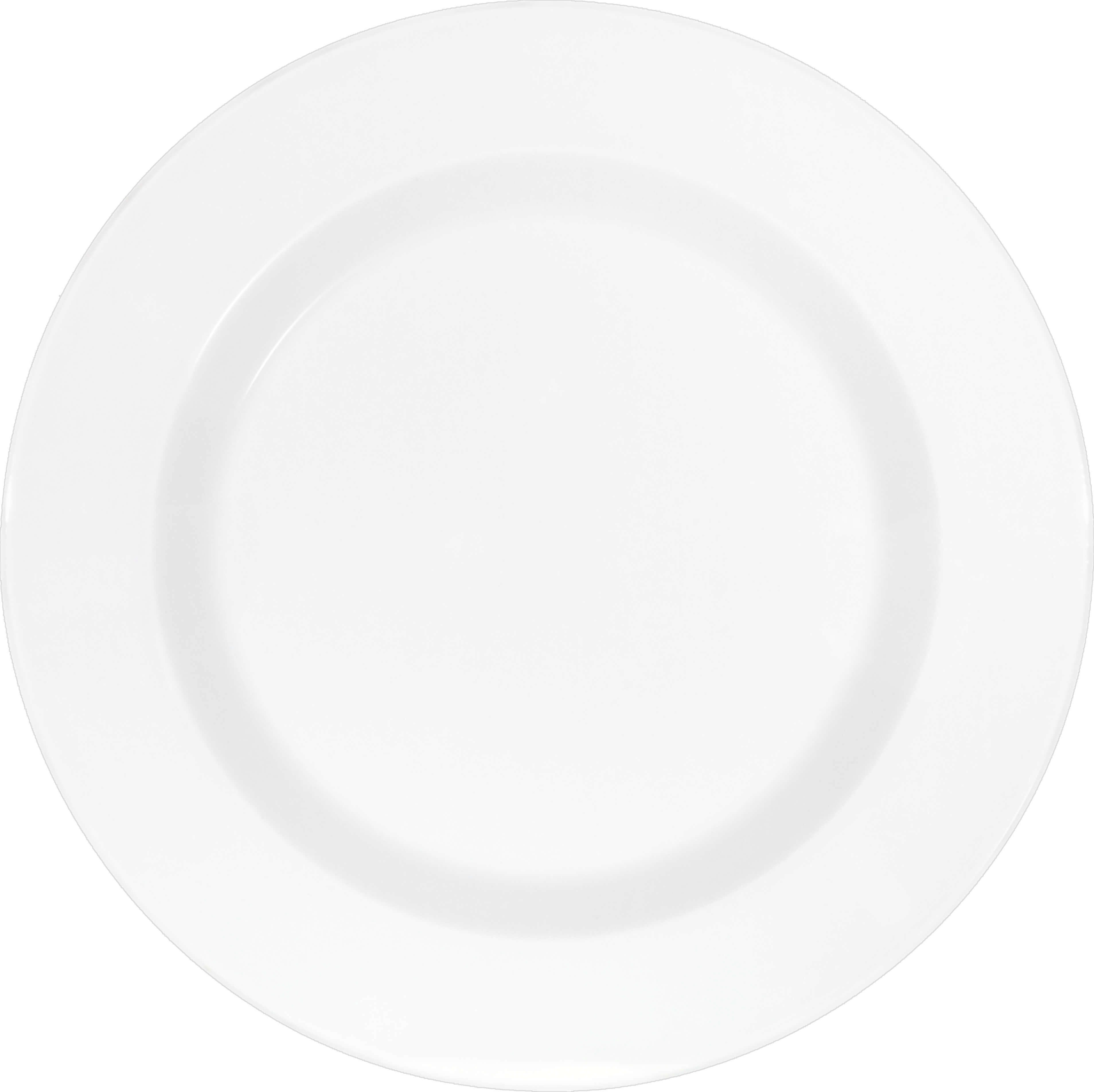 Schoenwald 9400032 Teller Flach Fahne, Kunst, Porzellan, Töpferei, Teller